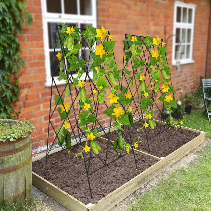 Cucumber Trellis, 2 Pack Metal Foldable A Frame Garden Trellis For Raised Bed Climbing Plants, Vegetables, Includes Plant Support Clips, Twist Ties, Plastic Ties, A Frame Trellis, Black