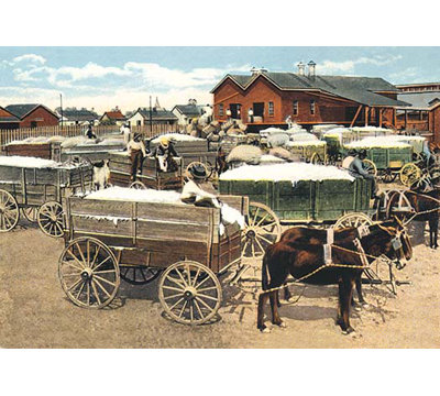 Cotton Wagons Painting Print