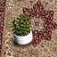 Oriental Area Rug-84895638