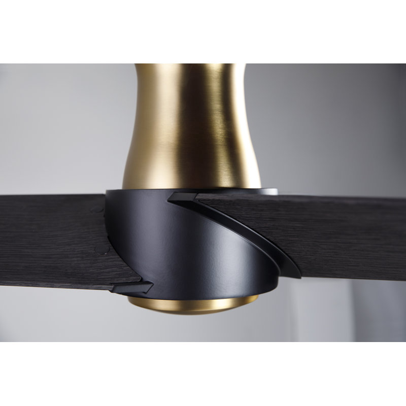 Ambit 56'' Ceiling Fan, Ebony, Satin Brass/Matte Black, Wall/Remote Combo Controls