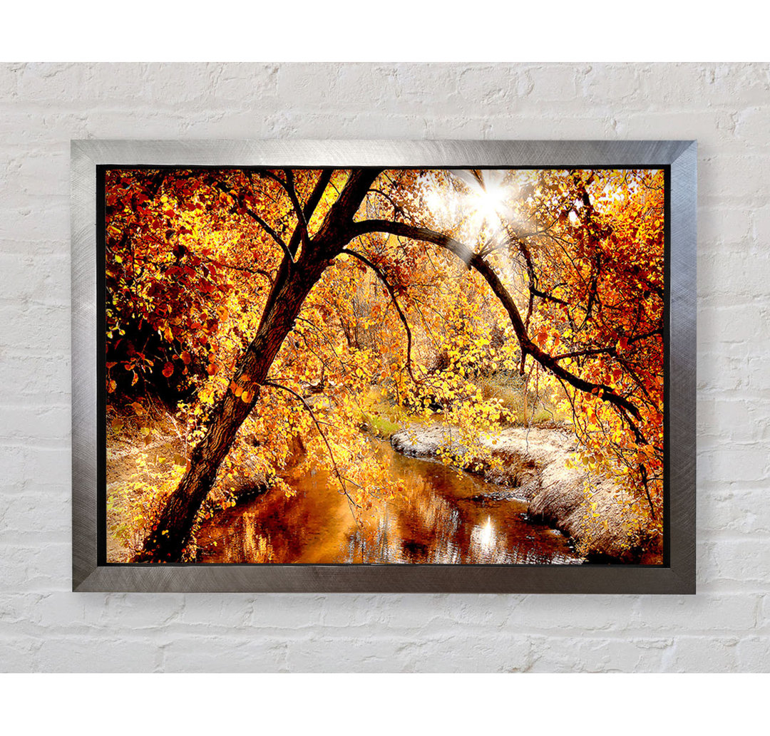 Creek In The Autumn Forest - Einzelner Bilderrahmen Kunstdrucke