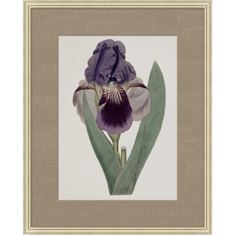 Floral Study In Plum 2 Painting