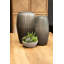 Charnise Glass Table Vase