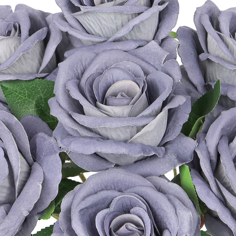 Velours rosier, Bleu gris
