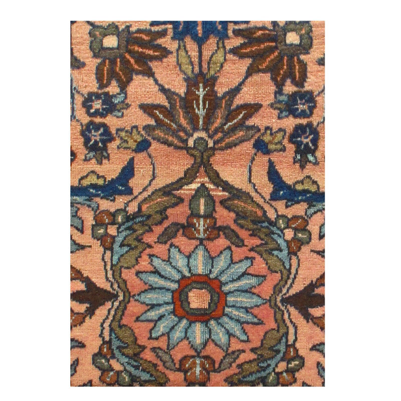 Meadlo Cotton Oriental Area Rug in Peach