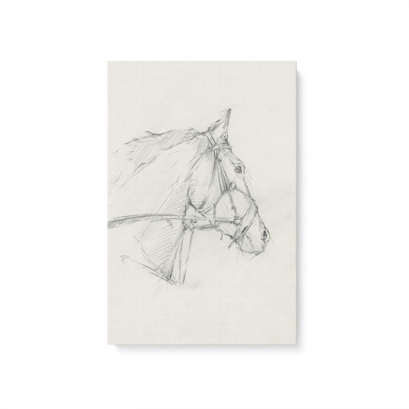 «Bridled Horse Courir croquis I» par Ethan Harper, reproduction d'art, Sans objet, H 48 po x l 36 po, Toile tendue