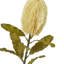 Arrangement-111171200