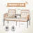 Usan 54'' Wide Straight Loveseat with Cushions-955507164