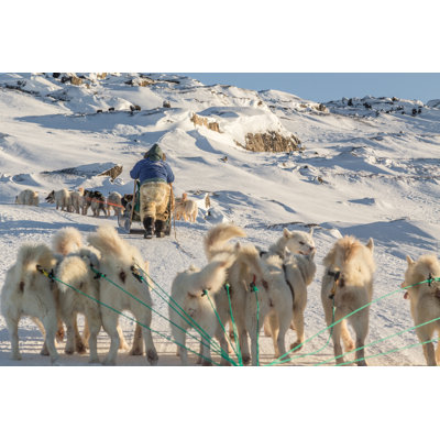 " Dog Sledding " by Rubyrascal