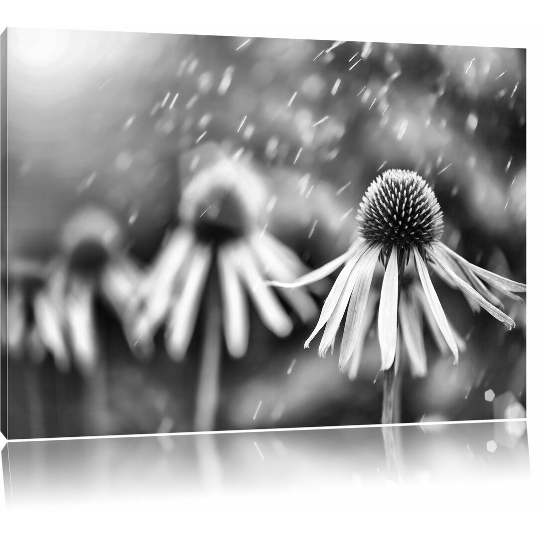 Leinwandbild Blumen im Regen in Monochrom