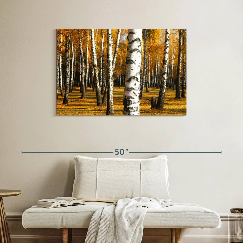 Alvord Golden Birch Grove, H 26 po x l 39 po