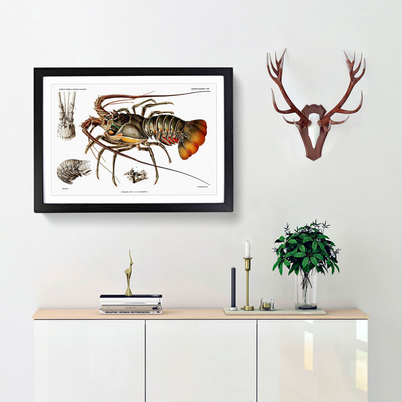 European Lobster by Albert I - Picture Frame Painting Print, Black Framed, 36cm H x 48cm W x 2cm D