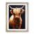Oak Framed is unavailable