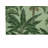 In the Jungle Outdoor Area Rug-1368483136