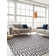 Natural Hide Cowhide Geometric Area Rug