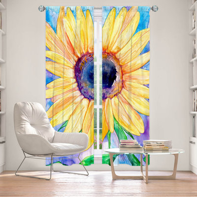 Room Darkening Curtain Pair
