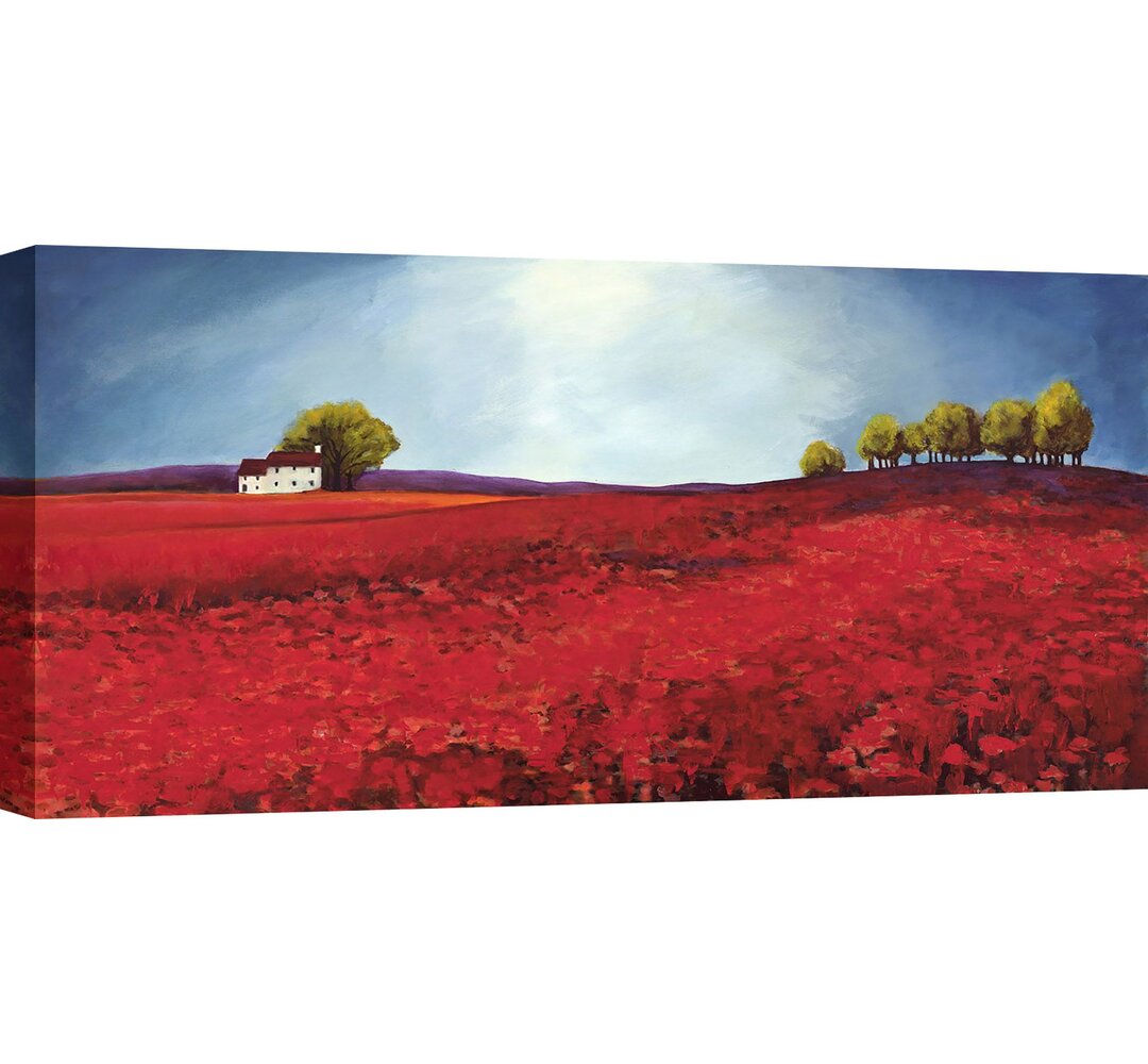 Leinwandbild Field of Poppies von Philip Bloom