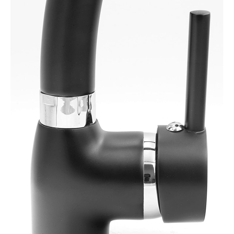 Belfry Kitchen Winnfield Kitchen Faucet, Black