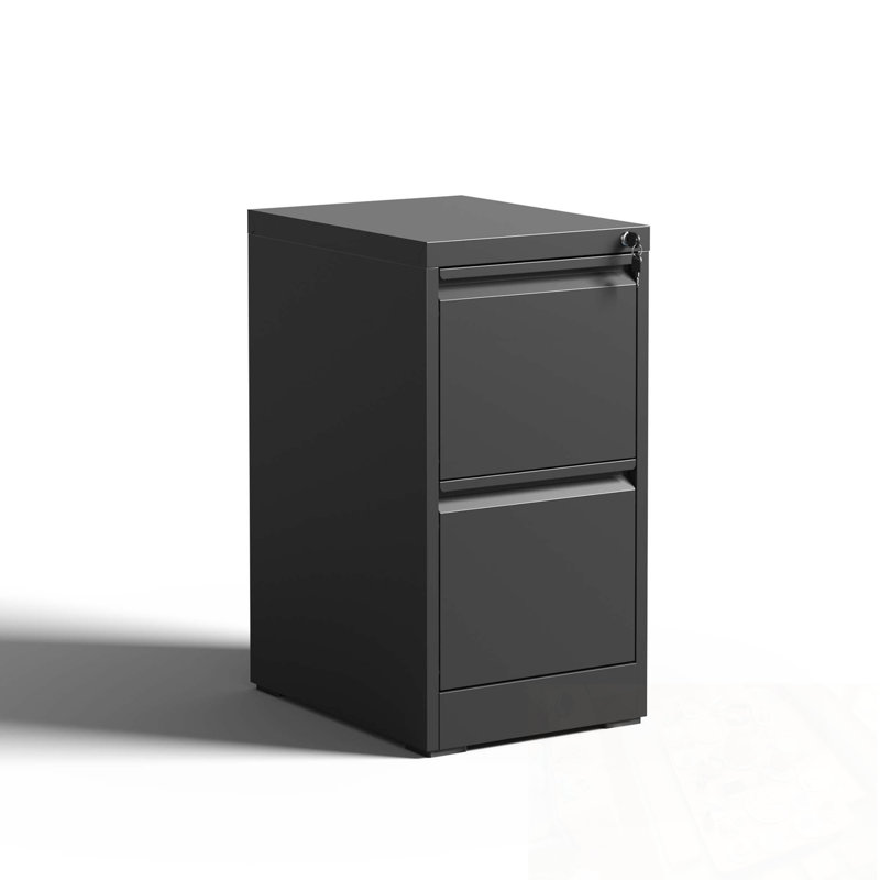Metal Vertical File Cabinet With Lock And 2 Drawers, Black