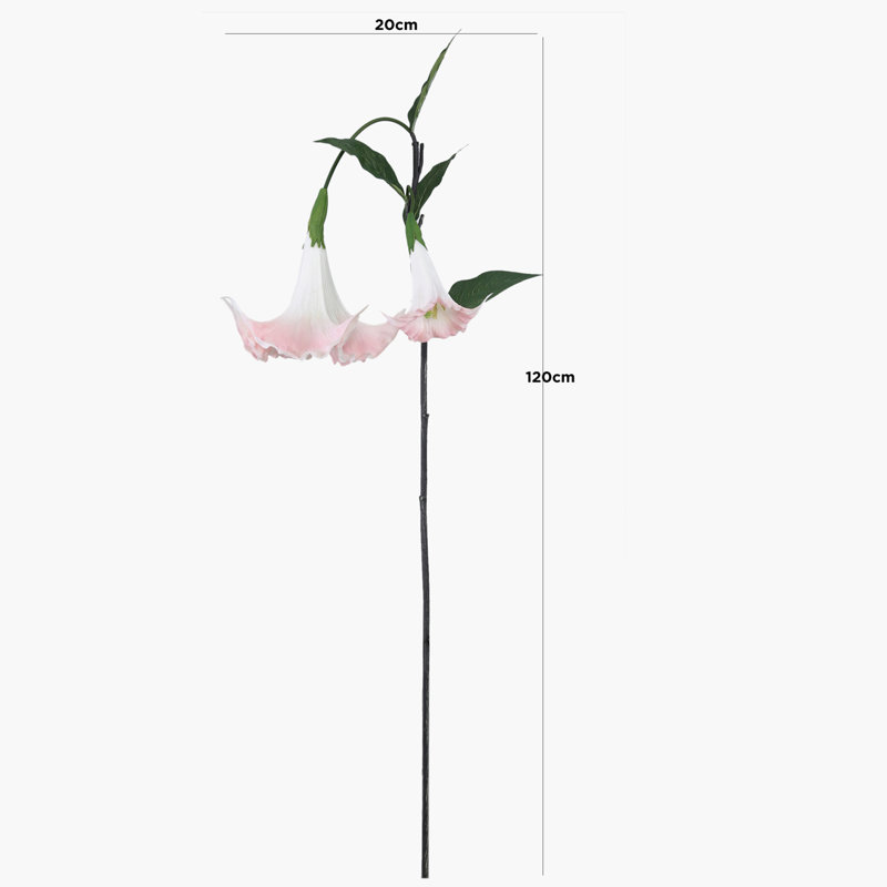 Arrangement, Pink