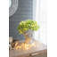 Jardinière en ciment de style grec / décoration de jardin intérieur / extérieur, P 6 po x 9 po-1513164355