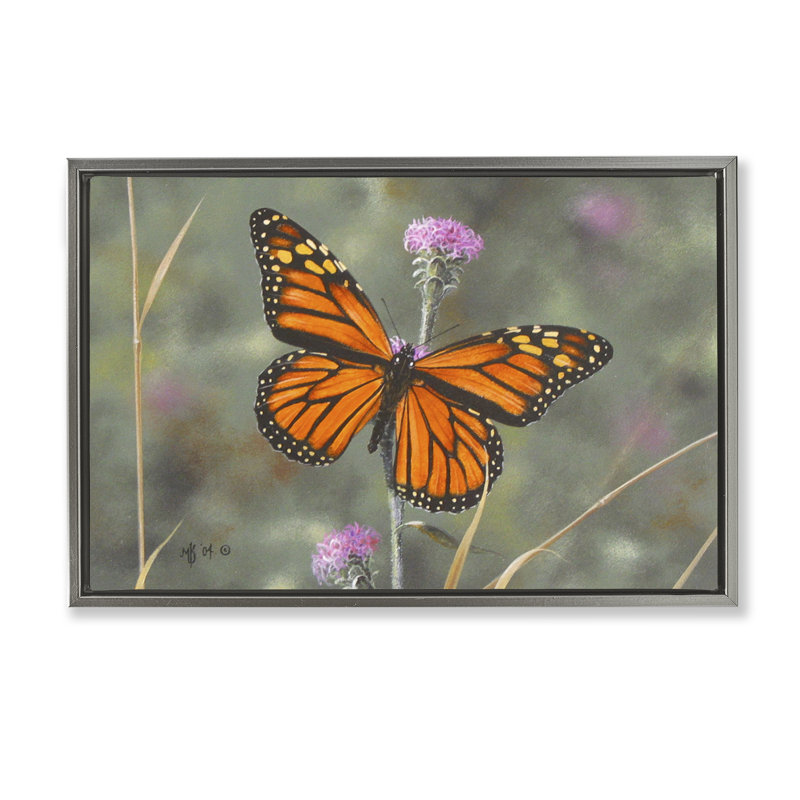 Toile flottante "Summer Summer Butterfly" par Mark Kelso, Cadre flottant gris lustré, H 17 po x l 25 po