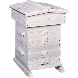 Ruche pour la maison            