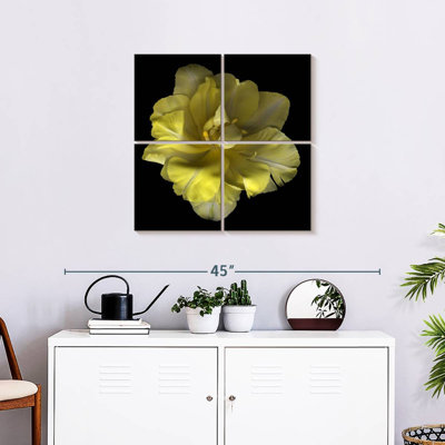 Harnek Yellow Tulip I