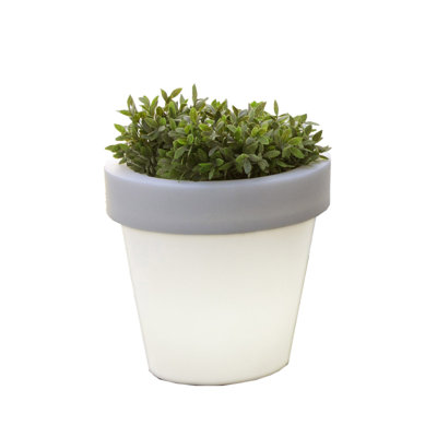 Darwin Pot Planter