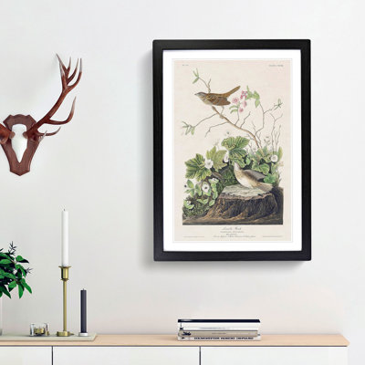 Lincoln Finch Birds by John Audubon - Framed Print