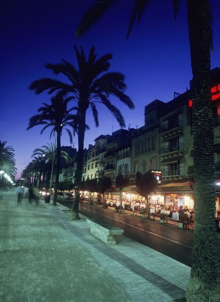 Winston Porter Palm Tree Lined Promenade With People Eating In