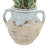 Snake Plant Arranged in Stone Vase