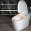 Toilette une pièce à bidet intelligente avec séchoir à air chaud, siège chauffant, veilleuse à DEL et chasse d'eau à capteur de pied
