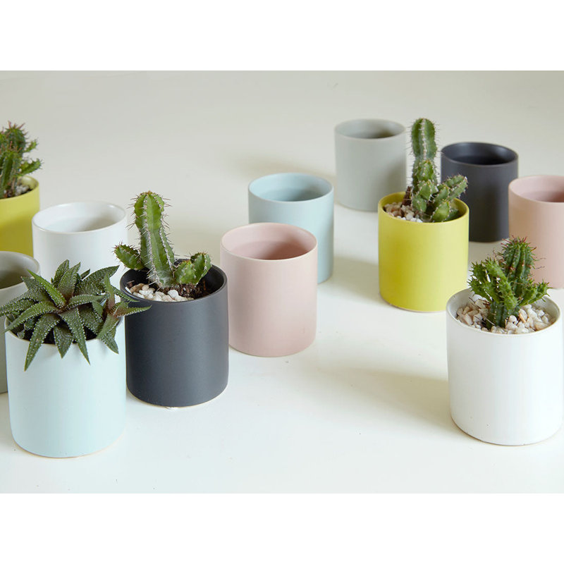 Cache-pot cylindrique 10,2 x 8,9 cm (lot de 12) - Intérieur/Extérieur