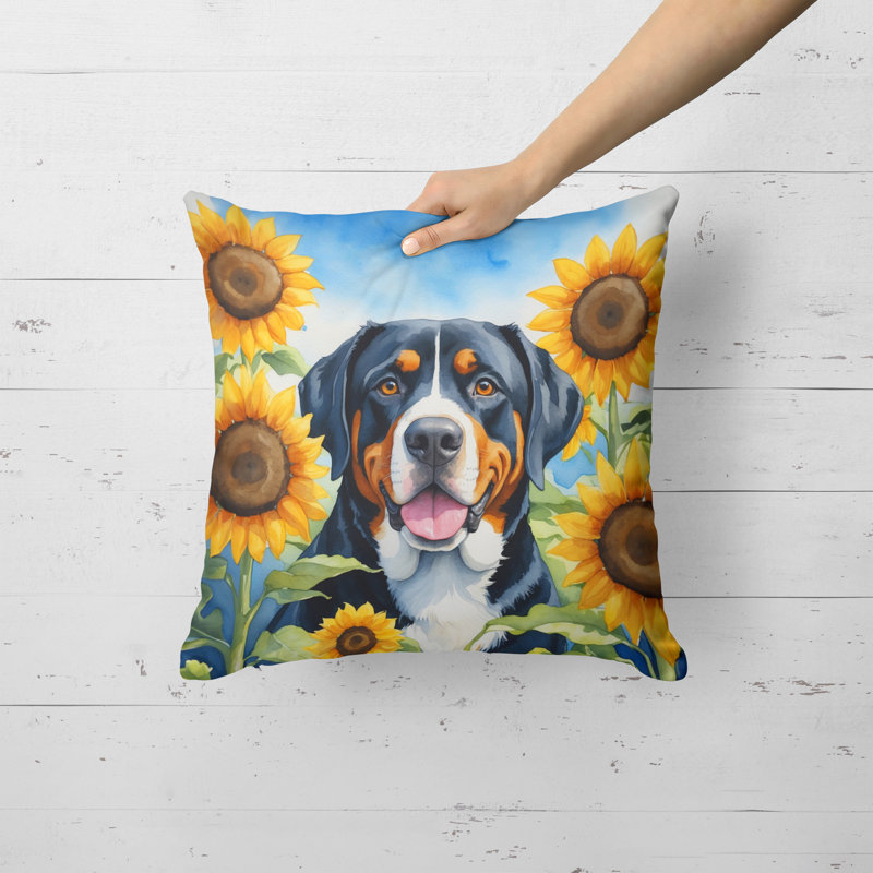 Coussin décoratif intérieur / extérieur Autre / Sans motif, H 18 po x l 18 po