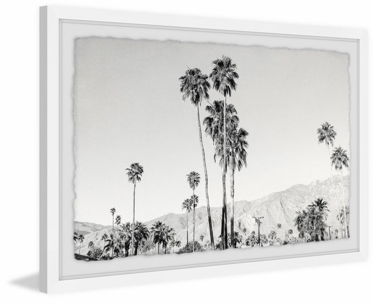 Altavista «Palm Tree Forest», reproduction de photo encadrée, H 8 po x l 12 po x P 1,5 po