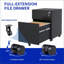 File Cabinets 2 Drawer Mobile Lockable Steel Filing Cabinet for Home Office | Black | Office