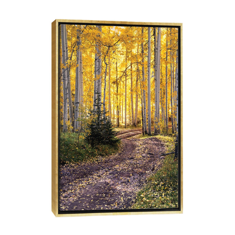 «Autumn Aspen Forest Road - Colorado Fall Colors», reproduction d'art sur toile encadrée, 40 po x 26 po, Toile avec cadre