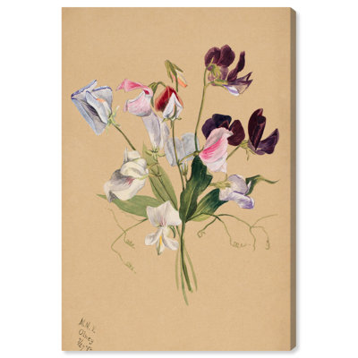 Art Remedy Botanical Prints Canvas Flower Study (1886) by Mary Vaux