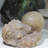 Figurines & Sculptures