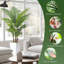 Palmier artificiel 6 pi