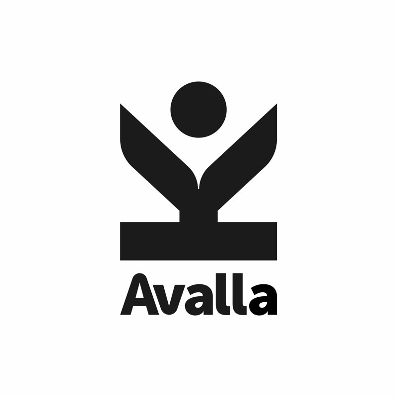 Avalla Steam Cleaner & Steam Mop