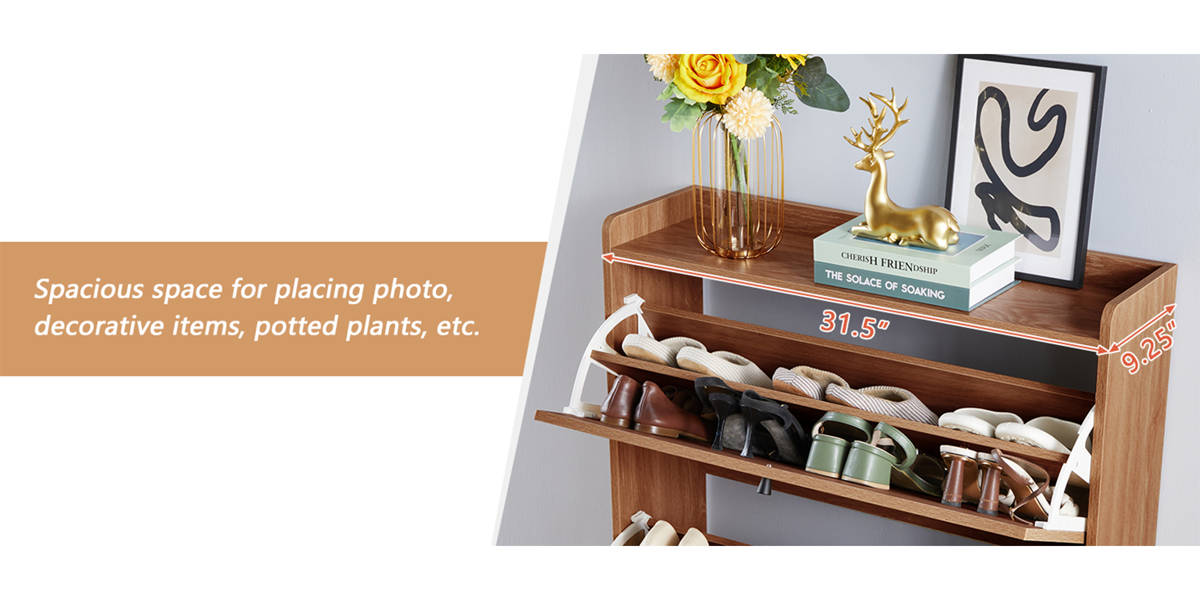 Clie 20 Pair Shoe Storage Cabinet