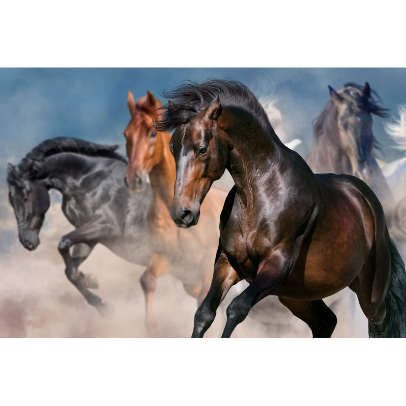 Horse Portrait In Herd by Callipso - Wrapped Canvas Print, 81cm H x 122cm W