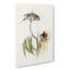 Boukes Grass-Parakeets by Elizabeth Gould - Wrapped Canvas-55361768