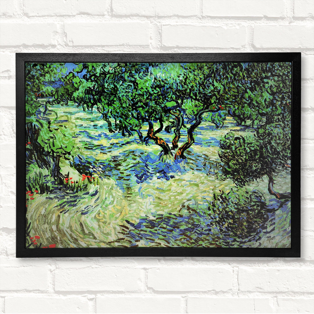 Olive Grove 2 - Drucken