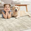 Tapis persan lavable délavé-70817485-77612441