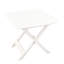 Anzley Rectangular Folding Outdoor Camping Table , 79cm cm W 72cm cm D-18556964