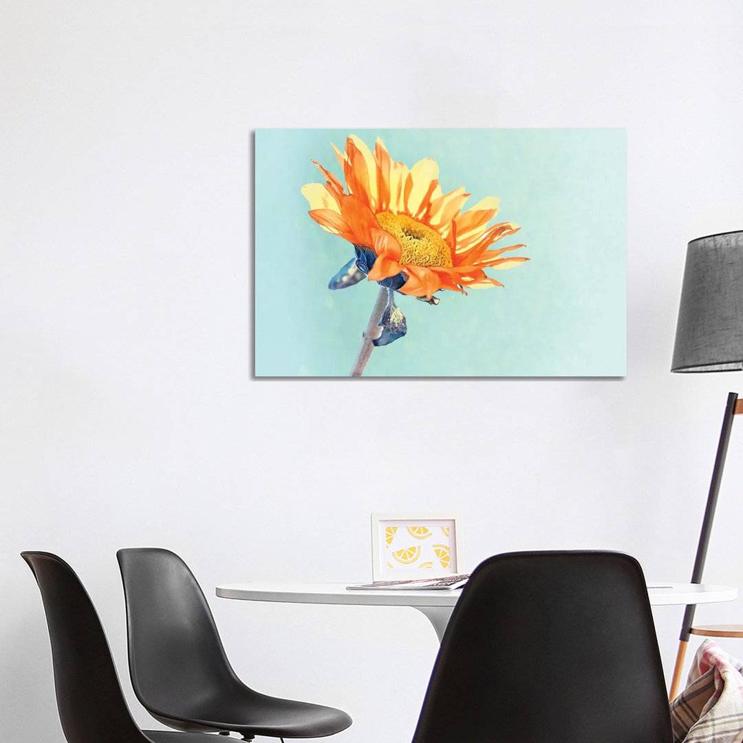 Sunflower by MScottPhotography - Wrapped Canvas Painting