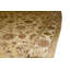 Dania Oriental Area Rug